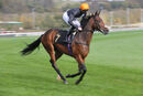 Race 1 (6) - Quenelle d Or