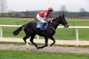 Race 1 (7) - Environment Ally