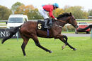 Race 1 (7) - Glide Down