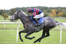 Race 1 (7) - Misty Whisky