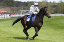 Race 1 (7) - So Hi Cardi