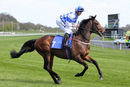 Race 1 (9) - Mandocello