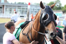 Race 2 - Ad Vitam (12)