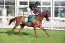 Race 2 - Ad Vitam (2)