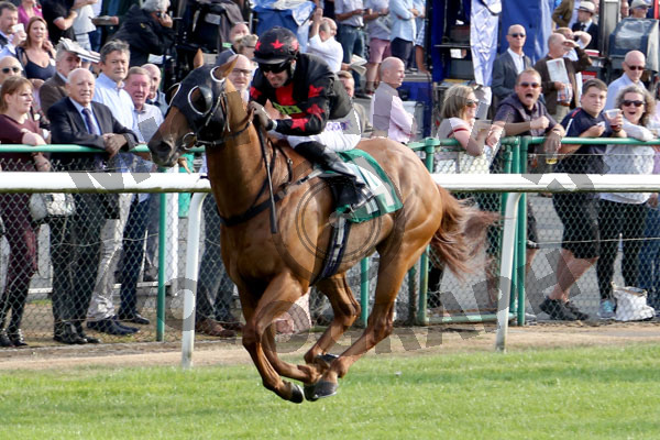 Race 2 - Ad Vitam (4)