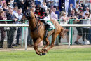 Race 2 - Ad Vitam (4)
