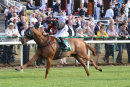 Race 2 - Ad Vitam (5)