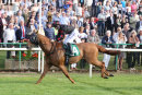 Race 2 - Ad Vitam (8)