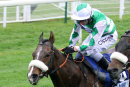 Race 2 - Al Qahwa (12)
