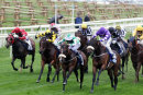 Race 2 - Al Qahwa (5)
