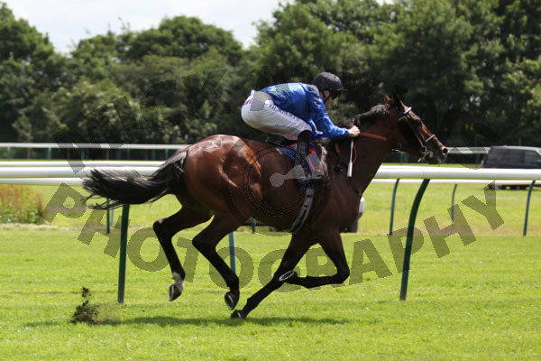 Race 2 - Alwahsh (7)
