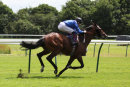 Race 2 - Alwahsh (7)