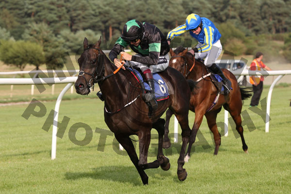 Race 2 - Angel Of Harlem (11)