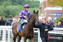 Race 2 - Aplomb (2)