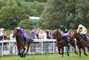Race 2 - Aplomb (3)