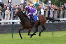 Race 2 - Aplomb (5)