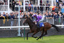 Race 2 - Aplomb (6)