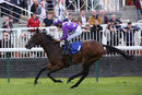 Race 2 - Aplomb (8)