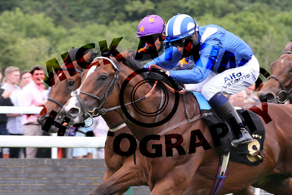 Race 2 - Asadjumeirah (10)
