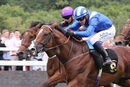 Race 2 - Asadjumeirah (10)