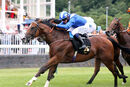 Race 2 - Asadjumeirah (13)