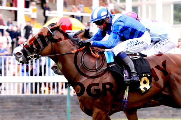 Race 2 - Asadjumeirah (14)