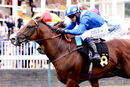 Race 2 - Asadjumeirah (14)