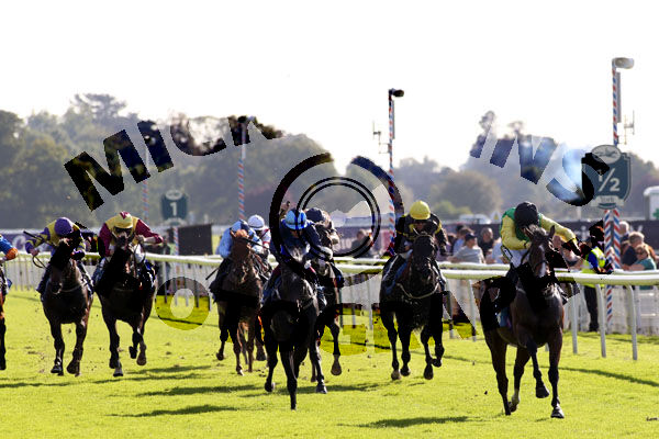 Race 2 - Barbanera (2)