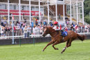 Race 2 - Bashiba (12)