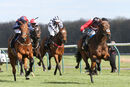 Race 2 - Billhilly (2)