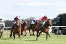 Race 2 - Billhilly (4)