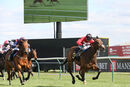 Race 2 - Billhilly (8)