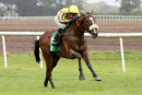 Race 2 - Billy No Mates (4)