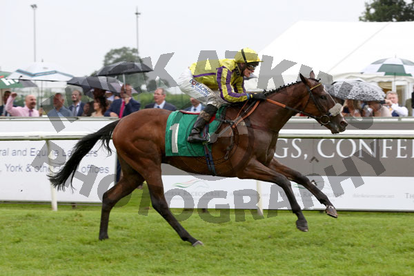Race 2 - Billy No Mates (7)