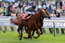 Race 2 - Blond Me (5)