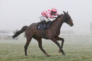 Race 2 - Bold Endeavour (5)