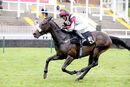 Race 2 - Boundless Power (13)