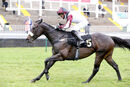 Race 2 - Boundless Power (14)