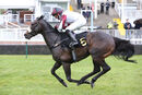 Race 2 - Boundless Power (15)