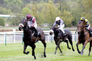 Race 2 - Boundless Power (7)