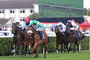 Race 2 - Bravo Faisal (2)