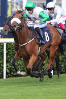 Race 2 - Bravo Faisal (4)