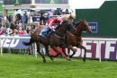 Race 2 - Carnegeo (6)