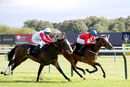Race 2 - Cave Diver (10)