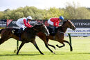 Race 2 - Cave Diver (12)