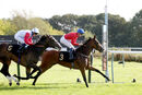 Race 2 - Cave Diver (14)
