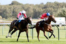 Race 2 - Cave Diver (4)