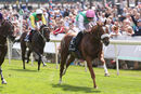 Race 2 - Chaldean (3)