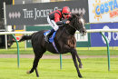 Nottingham Races (1 Nov 17)