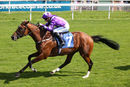 Race 2 - Coolagh Forest (4)